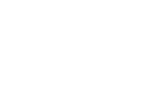 Logo centrum hout