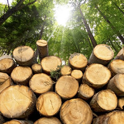 Hout is hét BIO-BASED materiaal voor bouw en gww