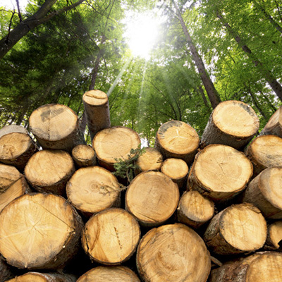 Hout is hét BIO-BASED materiaal voor bouw en gww