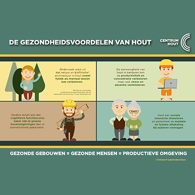 Houtographic 'De gezondheidsvoordelen van hout'