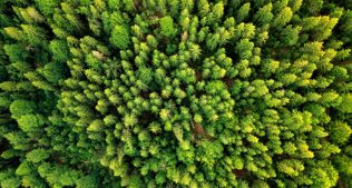 Artikel 'Duurzaam bouwen en wonen'