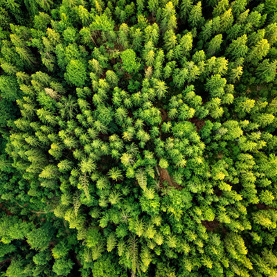 Een pleidooi voor het bouwen met duurzaam hout