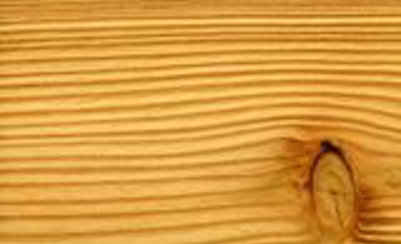 Lariks_russisch.jpg (3)