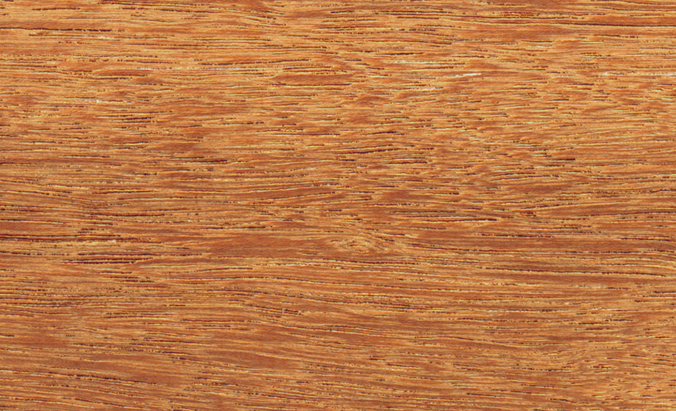 Mandioqueira-nr-133.jpg (3)