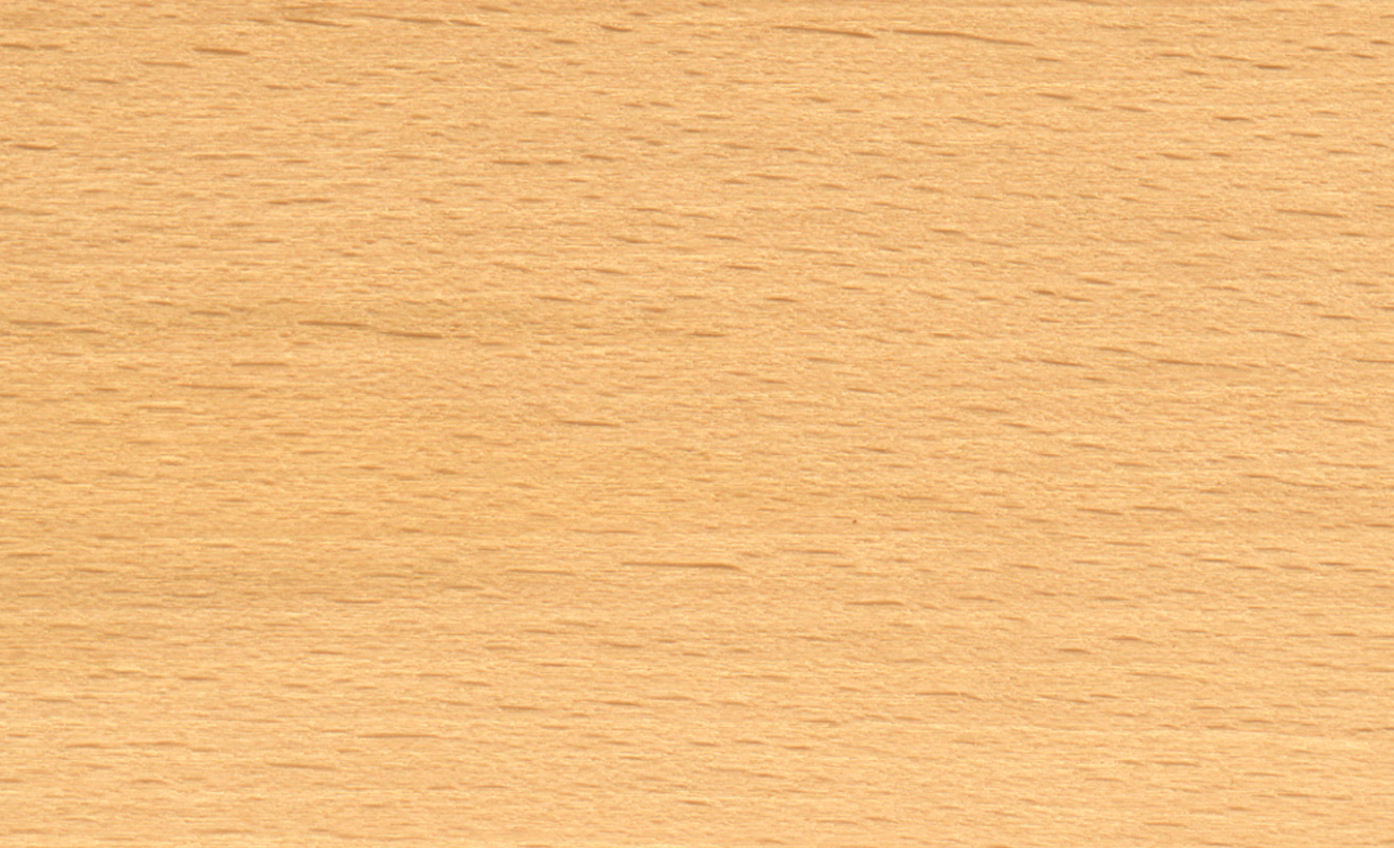 Beuken-nr-30.jpg (3)