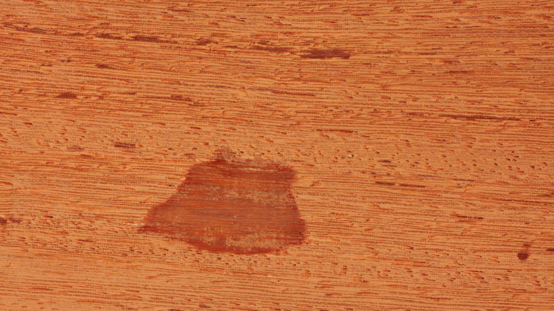 Angelim-pedra-Sapupira.jpg (7)