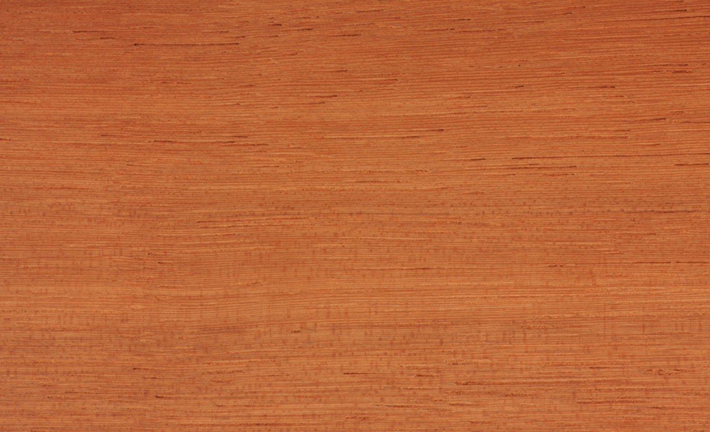 Cambara-A-Kwartiers-Erisma-uncinatum-IW.jpg (3)