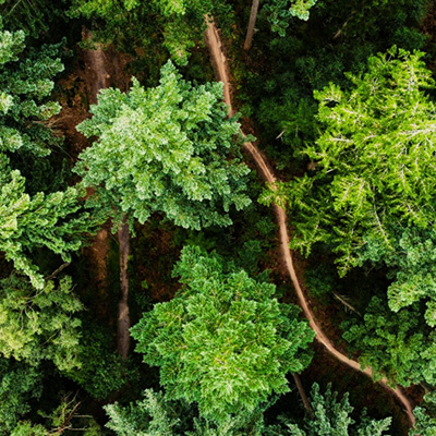 Webinar | Concurrerend bouwen met hout 1