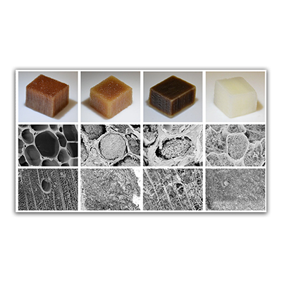 Innovaties met hout: Elektriciteit opwekken met hout