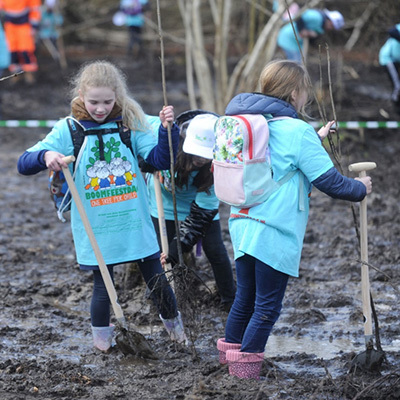 Boomfeestdag uitgesteld tot het najaar