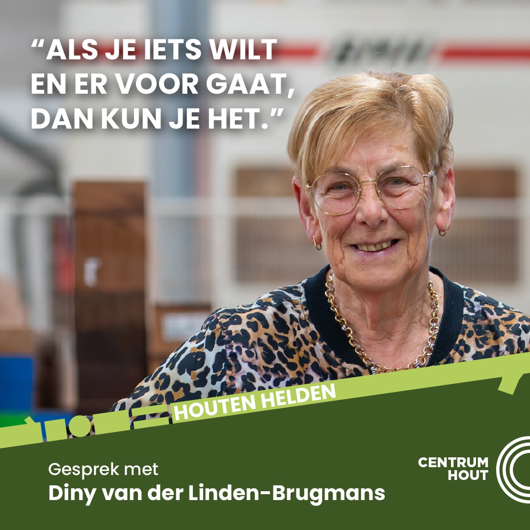 Houten Helden: Diny van der Linden-Brugmans
