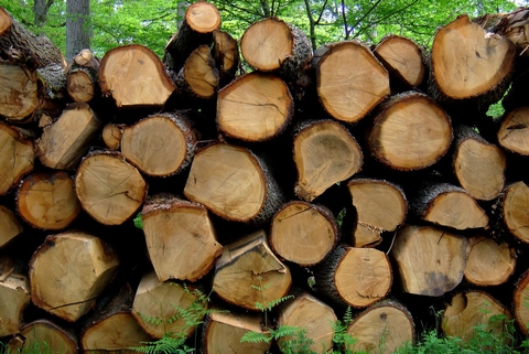 Nieuwe hergebruik- en recyclingdata voor LCA van houtproducten