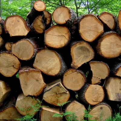 Nieuwe hergebruik- en recyclingdata voor LCA van houtproducten