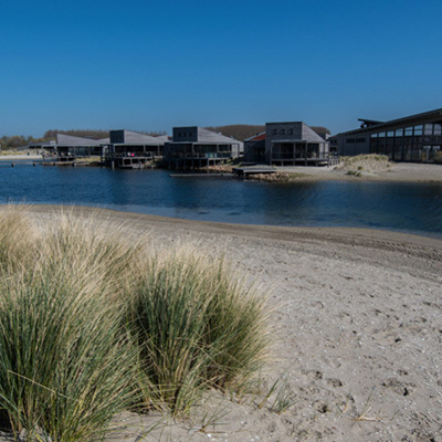 Hout in het nieuws: Deze vier materialen vormen de moderne wereld, maar maken haar ook kapot