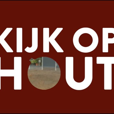 De Kijk op Hout van Evert Laarman