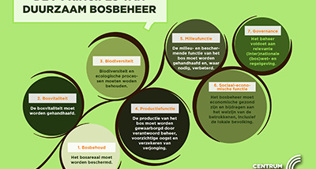 Houtographic 'De 7 principes van duurzaam bosbeheer'