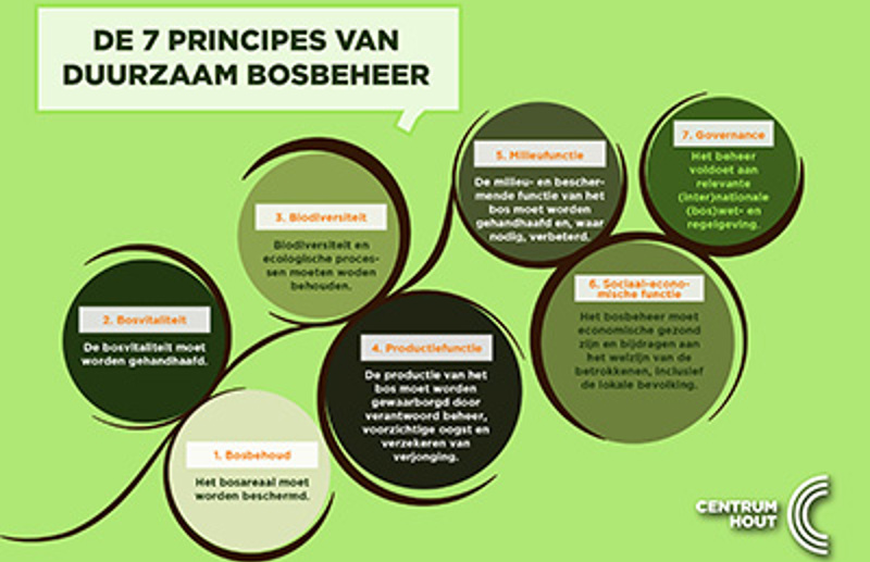 Houtographic 'De 7 principes van duurzaam bosbeheer'