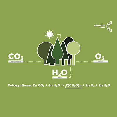 Houtographic 'De bossen van Europa in cijfers'