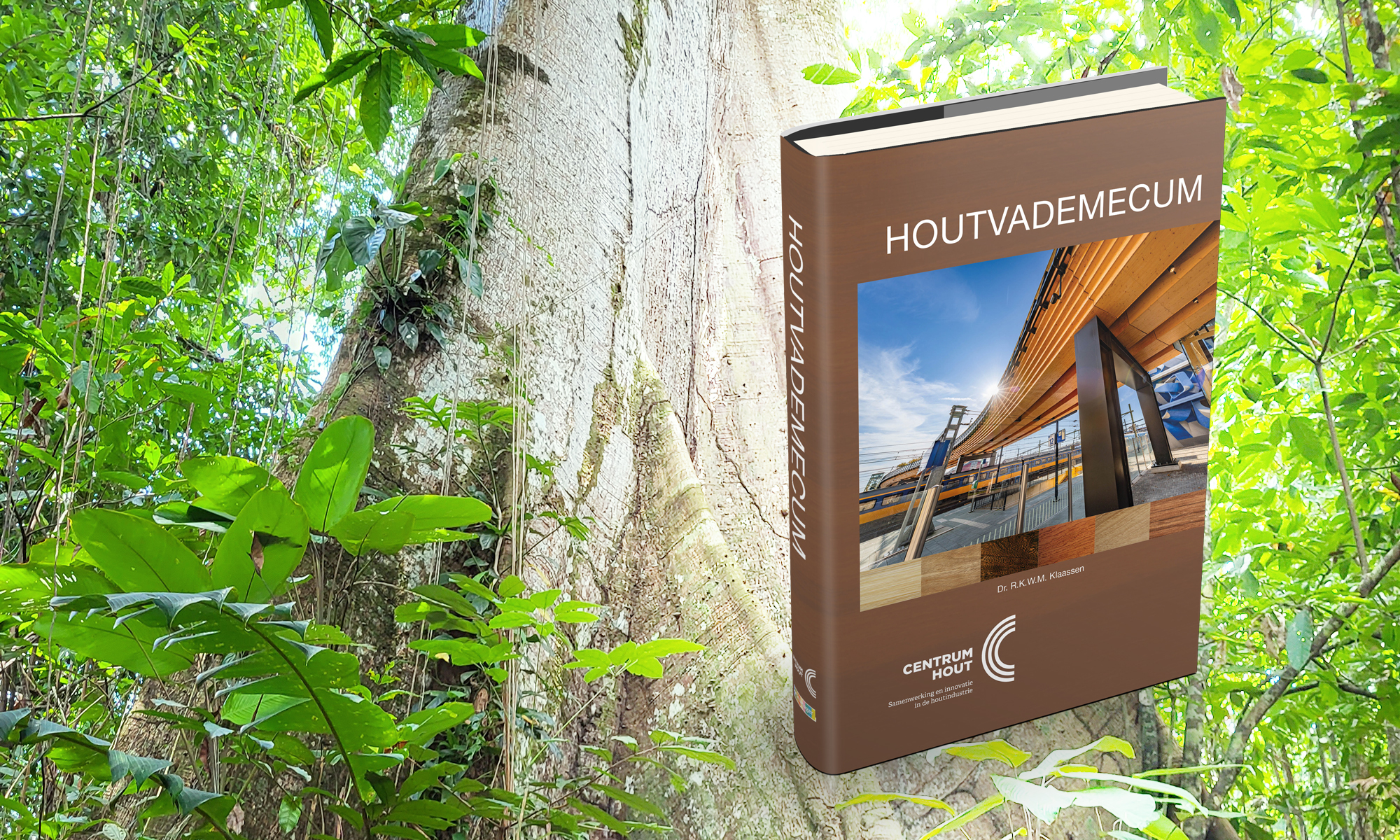 Houtvademecum 2026 volledig vernieuwd