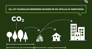Houtographic 'Fotosynthese'