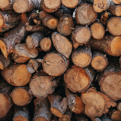 Hout in het nieuws: 'Bouwen met hout moet de norm worden'