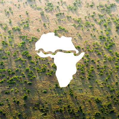 Herbebossing als antwoord op woestijnvorming