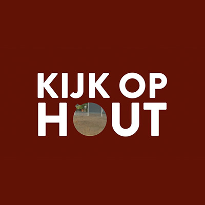 De Kijk op Hout van René Vijn