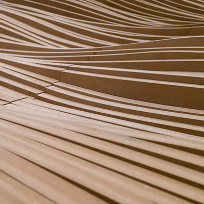 Houtexpert gezocht voor de Houtinformatielijn